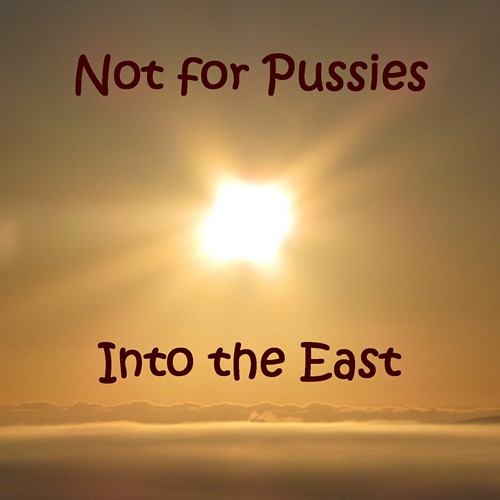 альбом Not for Pussies - Into the East в формате FLAC скачать торрент