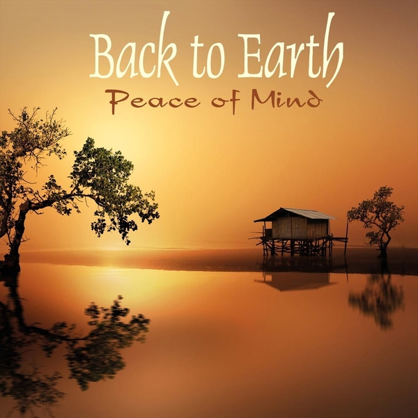 альбом Back To Earth - Peace Of Mind в формате FLAC скачать торрент